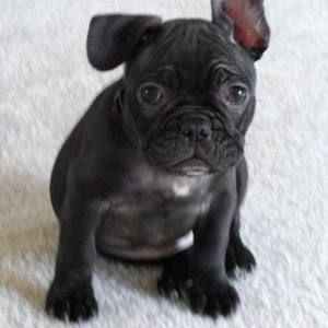 Meet your Posher, Fatma